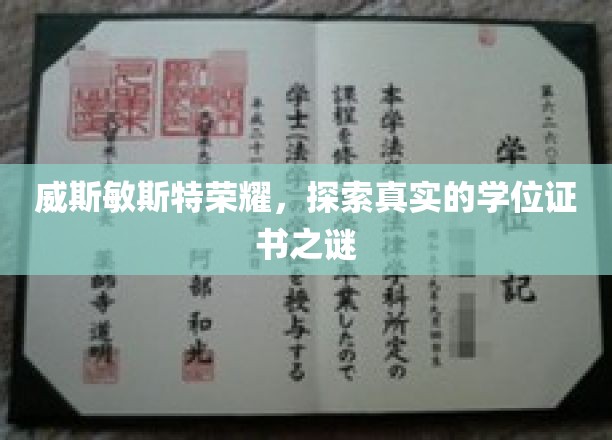 威斯敏斯特荣耀，探索真实的学位证书之谜