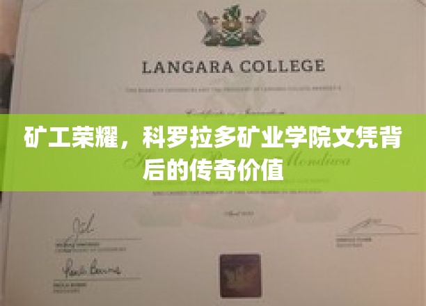 矿工梦工厂，科罗拉多文凭背后的荣耀之路