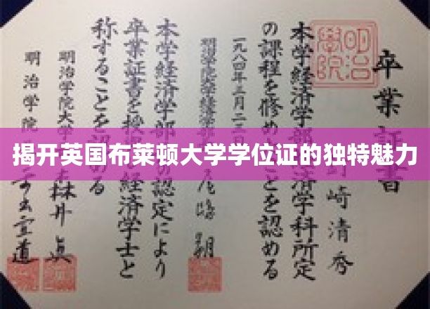 揭开英国布莱顿大学学位证的独特魅力