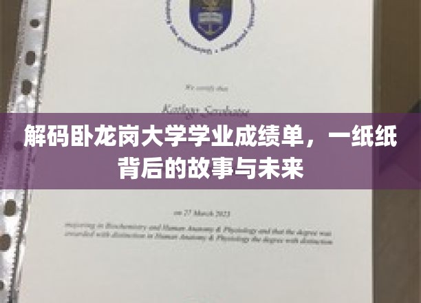 解码卧龙岗大学学业成绩单，一纸纸背后的故事与未来
