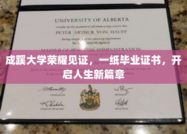 成蹊荣耀，毕业证书铸就梦想启航之门