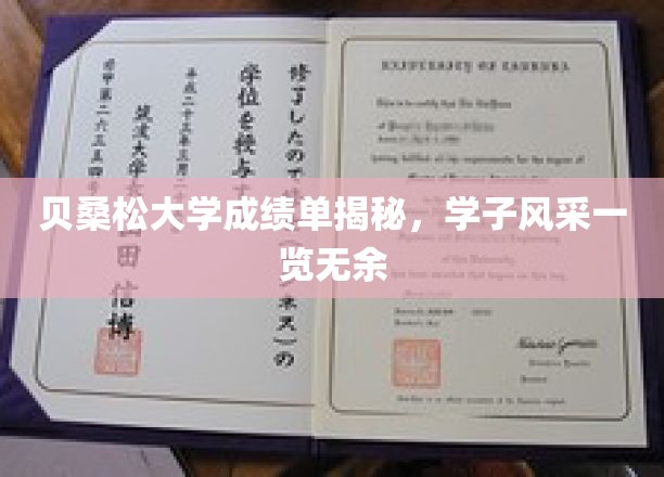 贝桑松大学学子成绩单大公开，青春风采尽收眼底