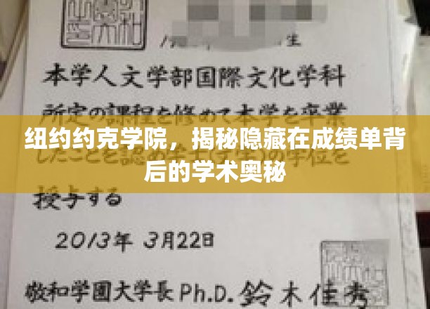 探寻纽约约克学院成绩单背后的惊人真相