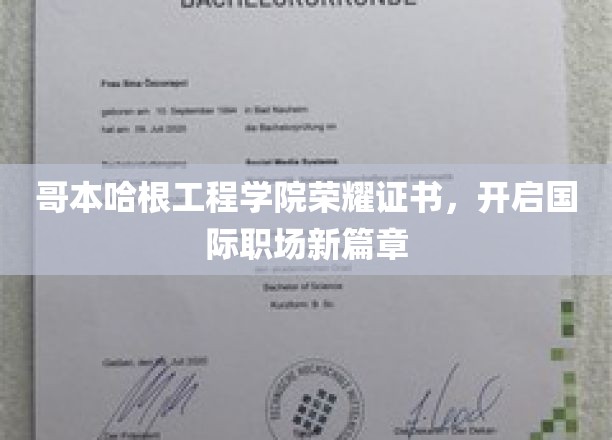 哥本哈根工程学院荣耀证书，开启国际职场新篇章