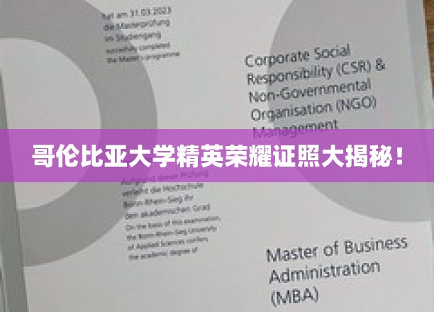 哥伦比亚大学精英荣耀证照大揭秘！