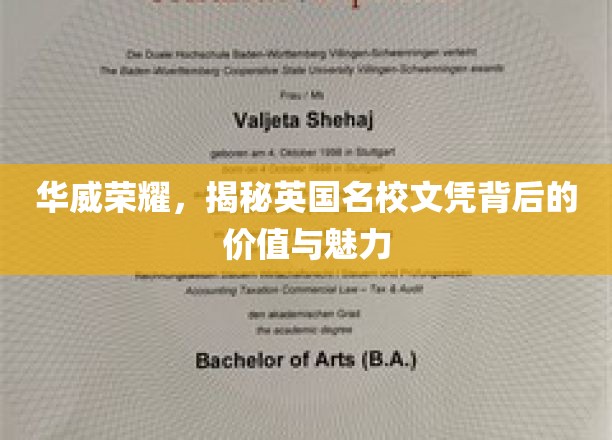 解码华威传奇，探寻英国顶尖学府文凭的内在魅力与价值