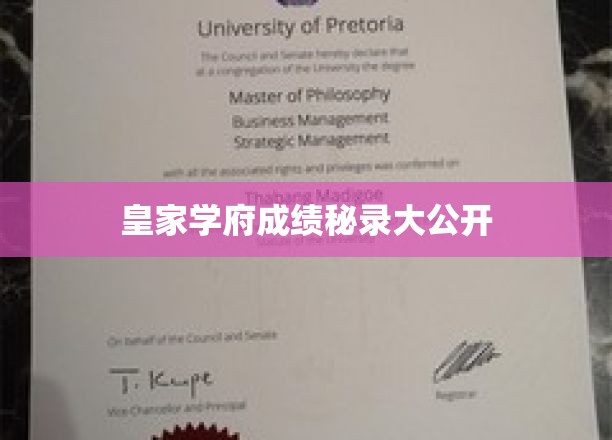 皇庭学府高分秘籍大揭秘
