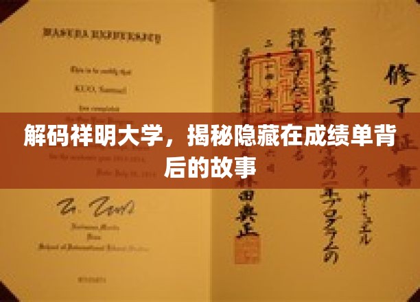 揭开祥明大学成绩单背后的神秘面纱
