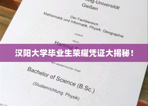 汉阳骄子荣耀，一探究竟的毕业生专属凭证全解析