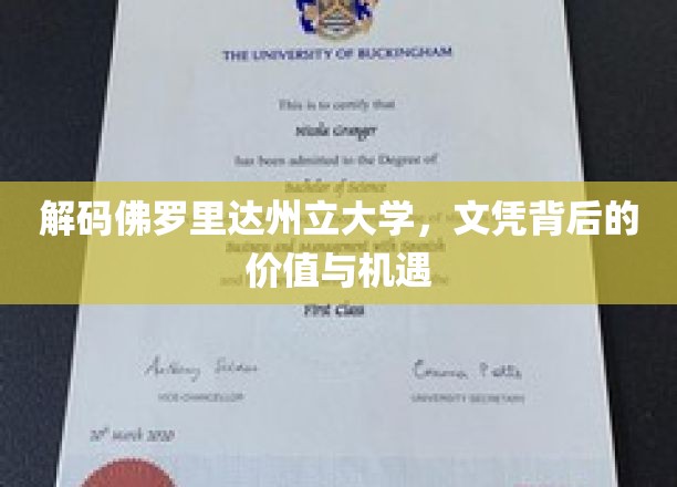 解码佛罗里达州立大学，文凭背后的价值与机遇