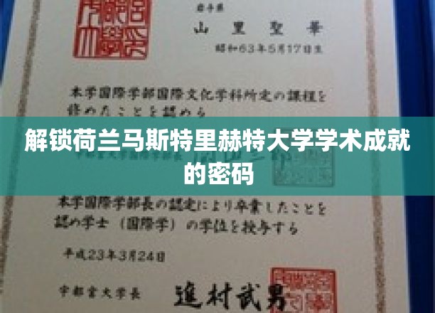 探索马斯特里赫特大学卓越科研背后的神秘力量