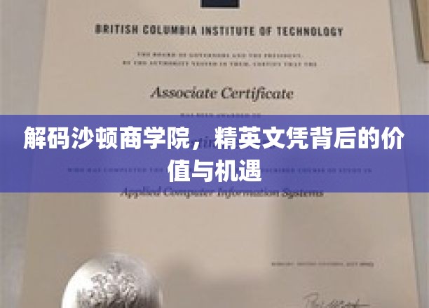 解锁沙顿商学院，国际文凭的非凡价值与无限可能