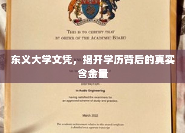 学历光环下的真实价值，东义大学文凭揭秘大揭秘
