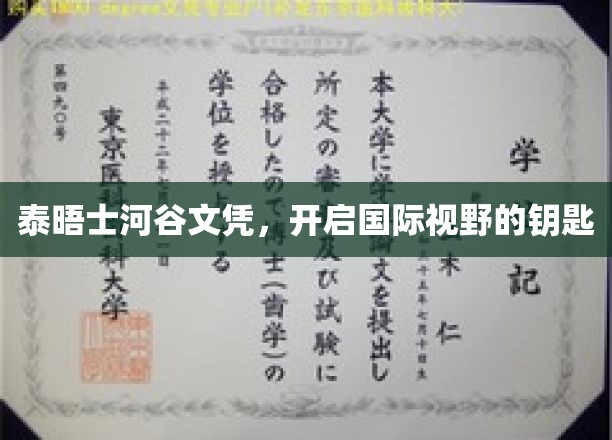 泰晤士河谷文凭，开启国际视野的钥匙