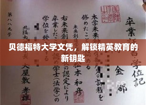 贝德福特大学文凭，解锁精英教育的新钥匙