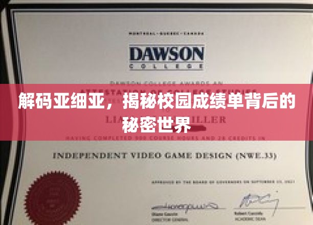 解码亚细亚，探寻校园成绩单背后的奥秘世界