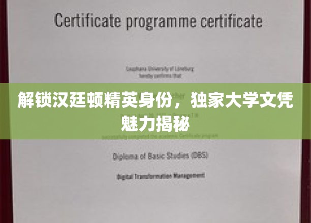 解锁汉廷顿精英身份，独家大学文凭魅力揭秘