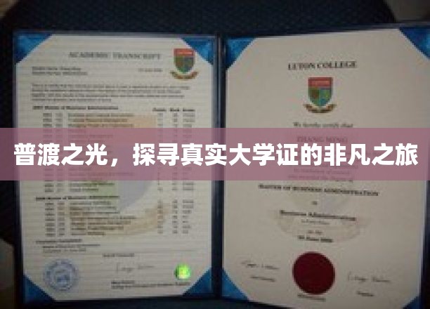 校园之光，揭秘大学证的神秘面纱之旅