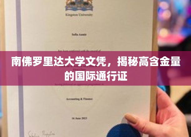 南佛罗里达大学文凭，揭秘高含金量的国际通行证