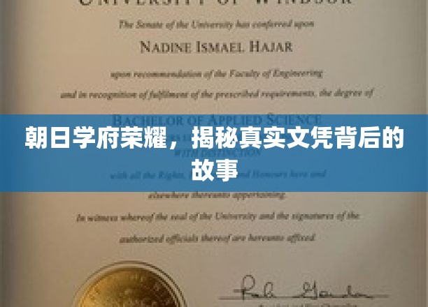 朝日学府传奇，揭开荣耀文凭背后的真实面纱