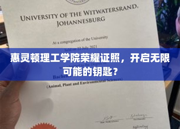 惠灵顿理工学院证书，解锁未来无限潜能的通行证？