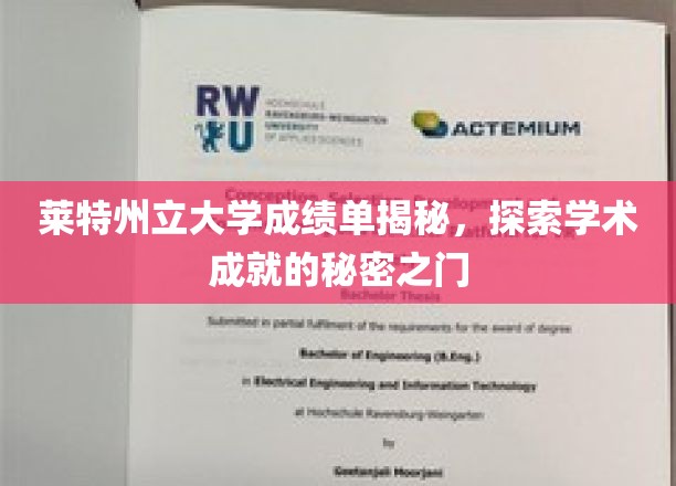 揭开莱特州立大学成绩单背后的学术奥秘