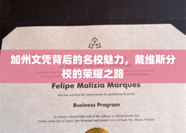 戴维斯分校荣耀，解码加州文凭背后的名校传奇