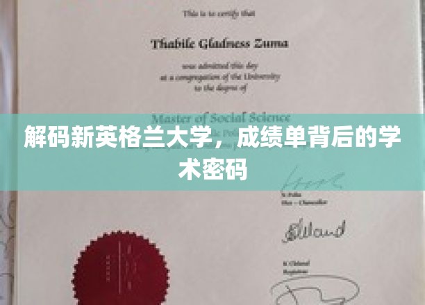 探寻新英格兰大学，揭开成绩单的学术奥秘