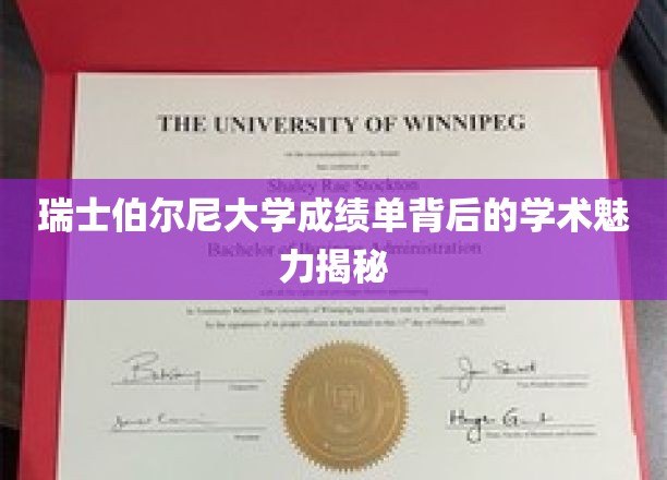 解码瑞士伯尔尼大学，成绩单背后的学术传奇与智慧之光