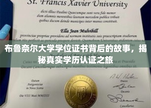 布鲁奈尔大学学位证书背后的故事，揭秘真实学历认证之旅
