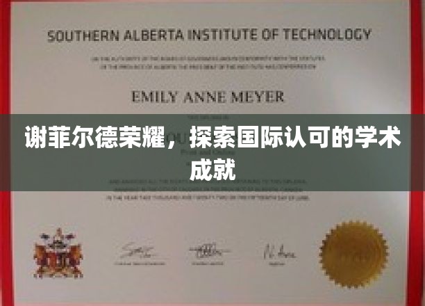谢菲尔德荣耀，探索国际认可的学术成就
