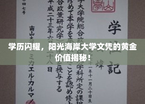 阳光海岸大学文凭，学历之光，价值无限的海岸宝藏