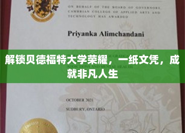 解锁贝德福特大学荣耀，一纸文凭，成就非凡人生