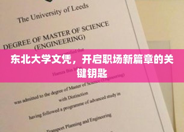 东北大学文凭，助力职场梦想腾飞的新起点