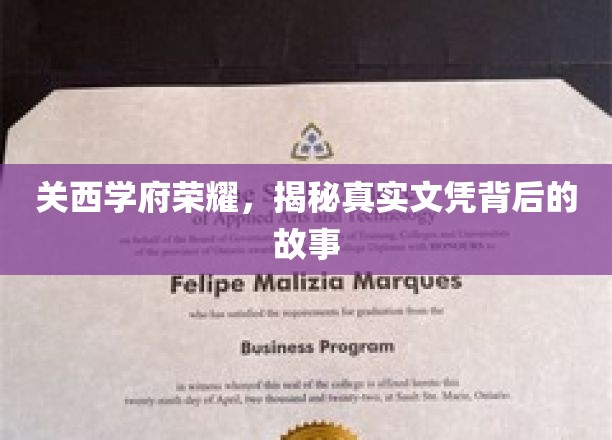 关西学府荣耀，揭秘真实文凭背后的故事