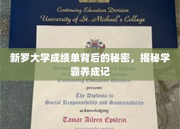 揭开新罗学霸养成幕后，成绩单里的不为人知故事