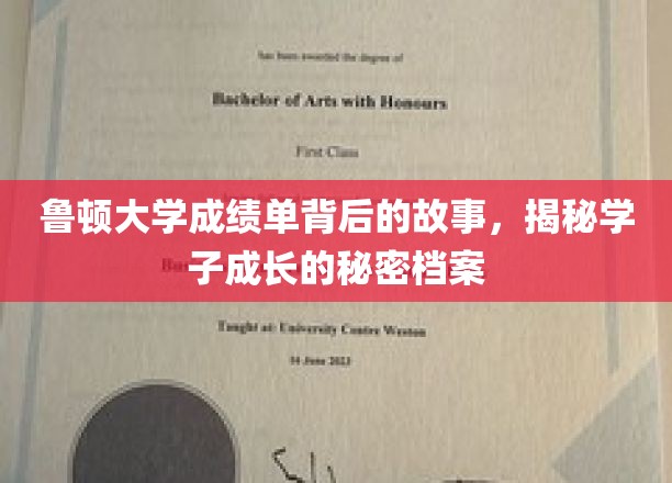 鲁顿大学成绩单背后，揭开学子成长轨迹的神秘面纱
