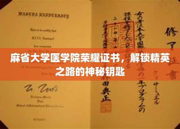 麻省荣耀，解锁精英之门的医学证书之谜