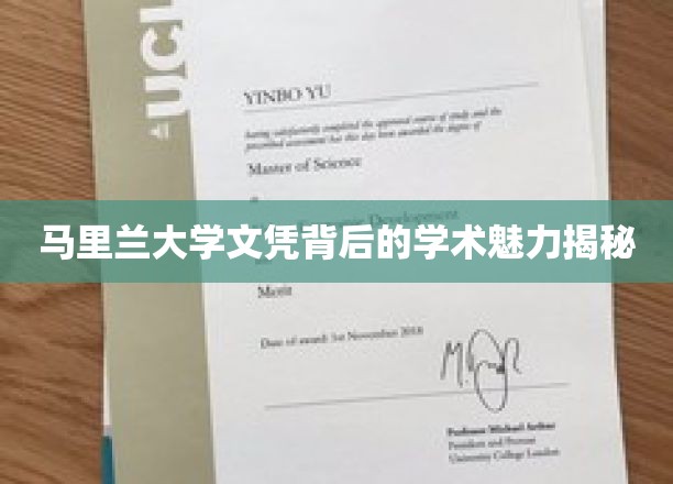 马里兰大学文凭背后的学术魅力揭秘