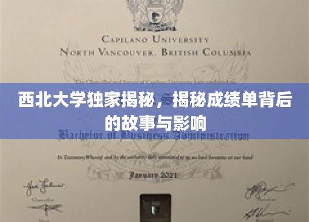 西北大学独家揭秘，揭秘成绩单背后的故事与影响