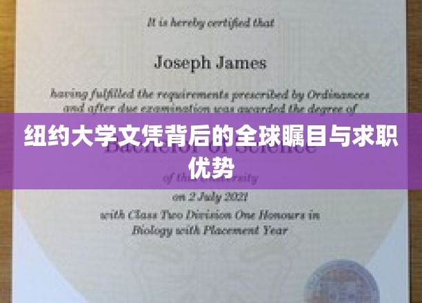 纽约大学学位，世界瞩目焦点，职场利器必备
