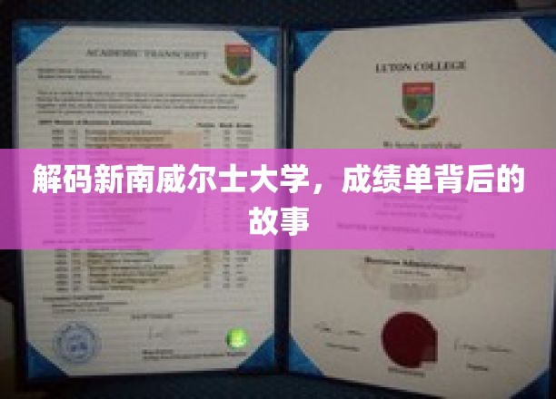 探寻新南威尔士大学成绩单背后的精彩人生