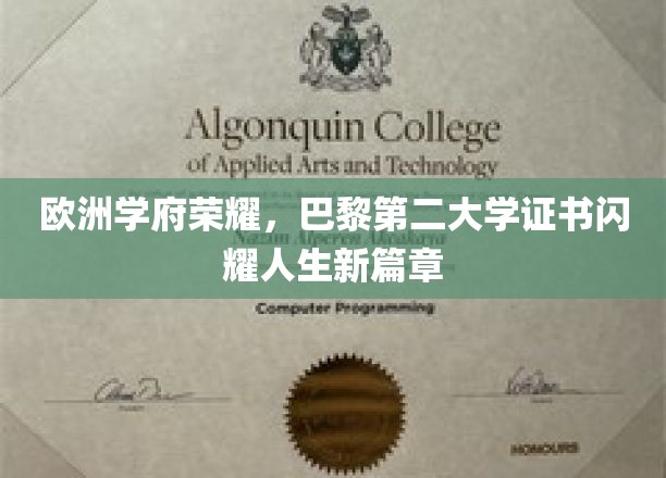 巴黎第二大学荣耀见证，学子证书开启人生辉煌新旅程