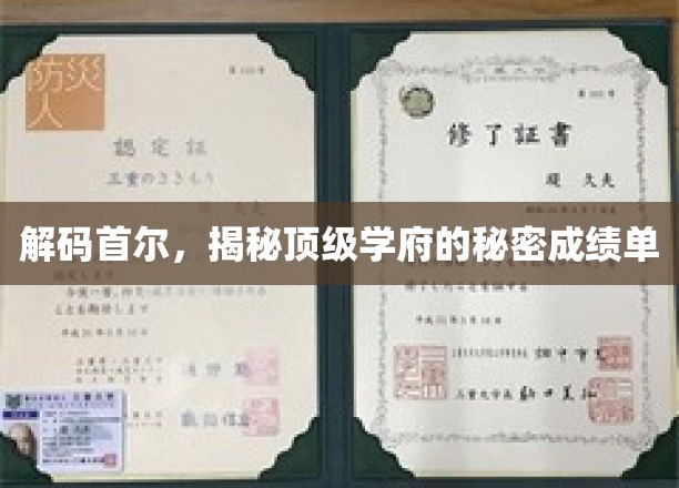 探寻首尔精英摇篮，顶级学府的辉煌背后