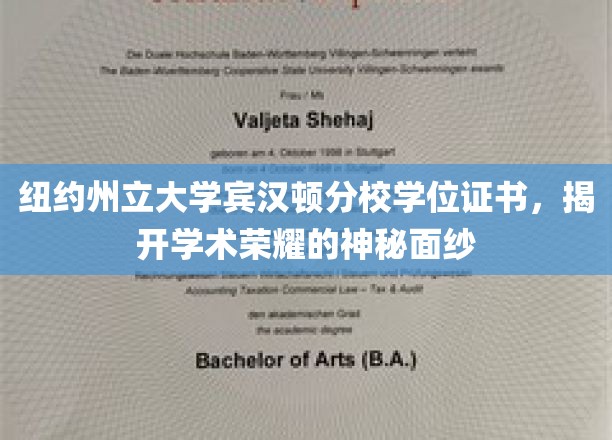 解锁学术巅峰，纽约州立大学宾汉顿分校学位证书背后的荣耀故事
