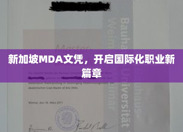 新加坡MDA文凭，开启国际化职业新篇章
