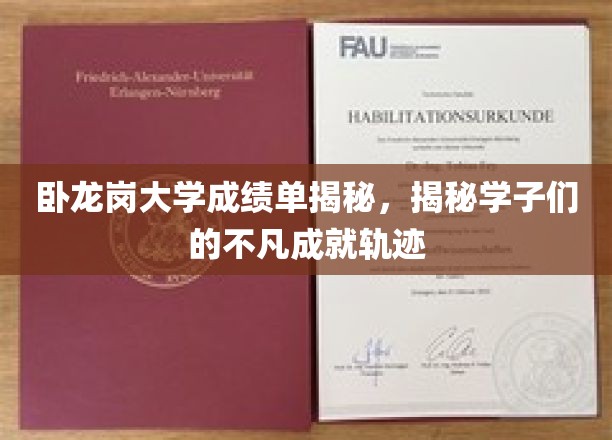 探寻卧龙岗大学学子非凡成就背后的成绩单秘密
