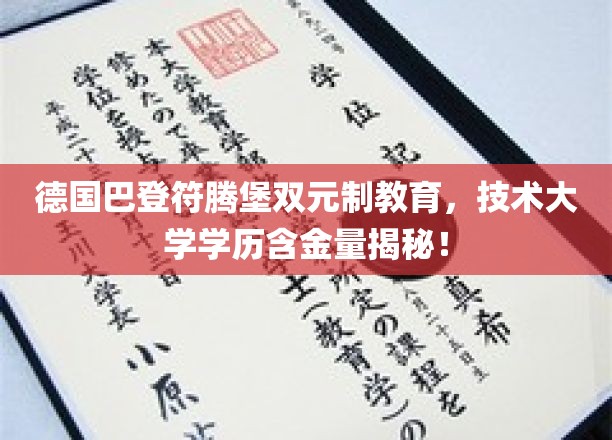 巴登符腾堡双元制教育优势曝光，技术大学学历价值几何？