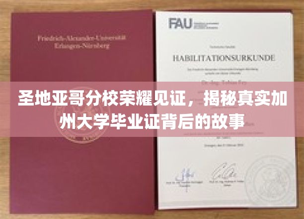 加州荣耀之路，圣地亚哥分校校友揭秘毕业证背后的传奇故事