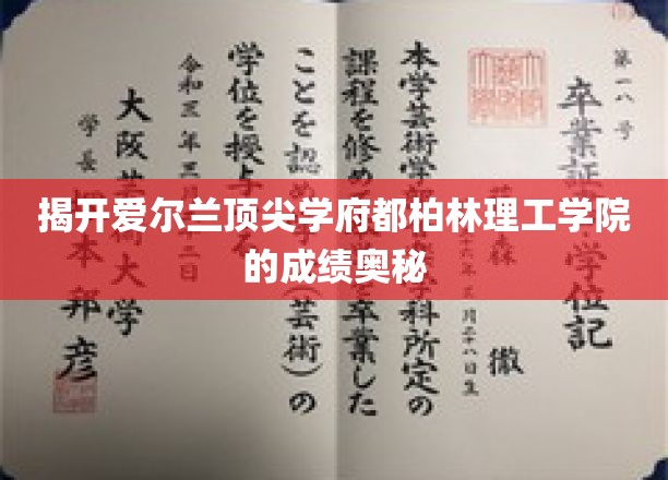 解锁都柏林理工学院卓越成绩背后的秘籍